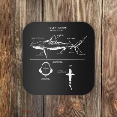 Tiger Shark Anatomy Marine Biologist Coaster