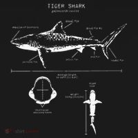 Tiger Shark Anatomy Marine Biologist T-Shirt thumb 7