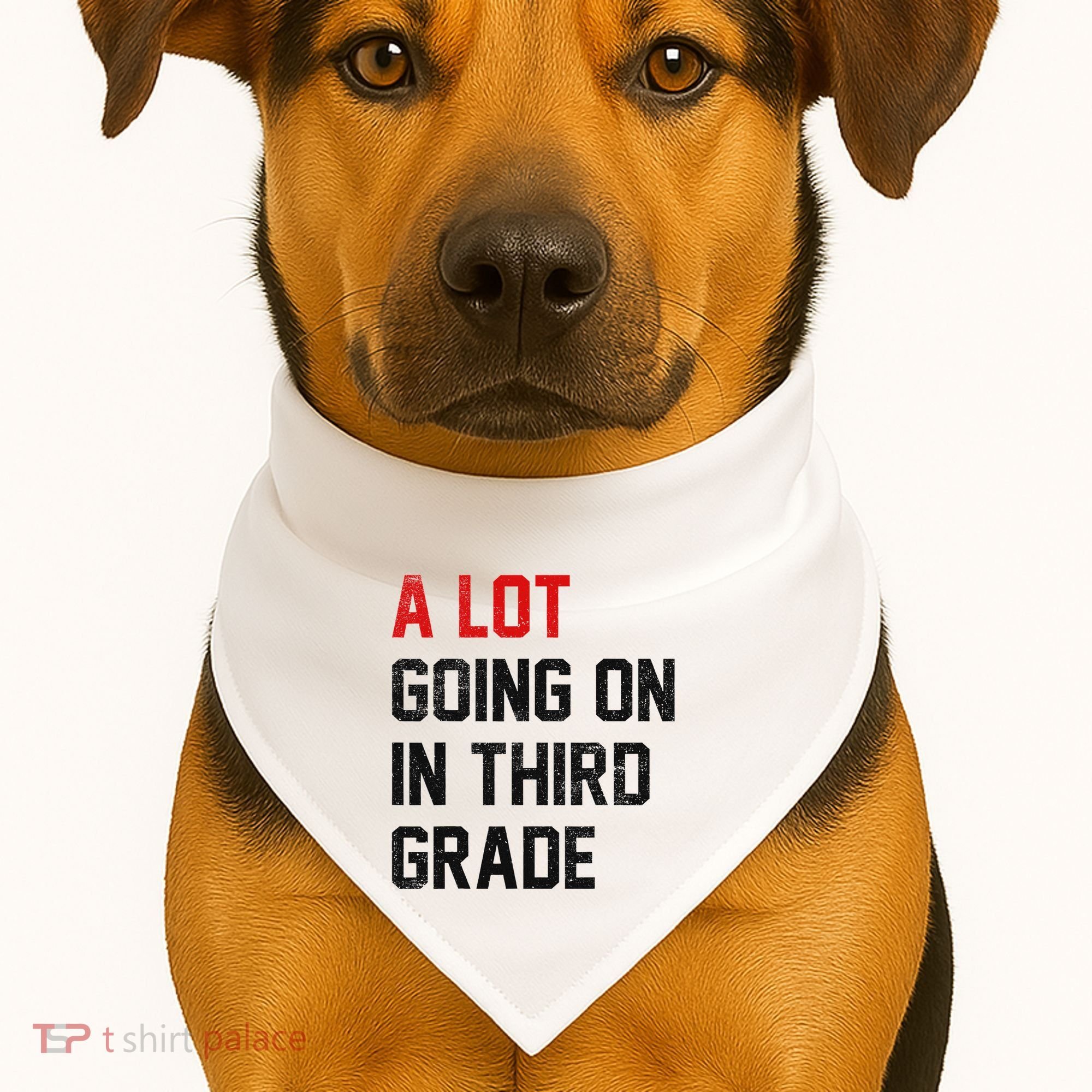 Teacher Student A Lot Going On In Third Grade Back To School USA-Made Doggie Bandana