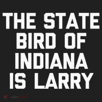 The State Bird Of Indiana Is Larry Funny Basketball Kids Plaid Pajama Set thumb 2