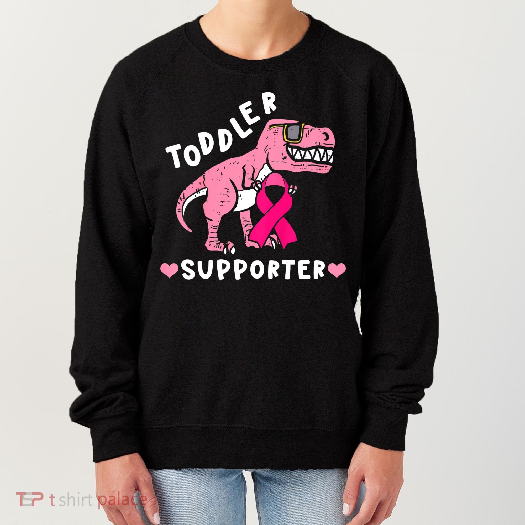 Toddler Supporter Breast Cancer Awareness Boys TRex Women's Sweatshirt