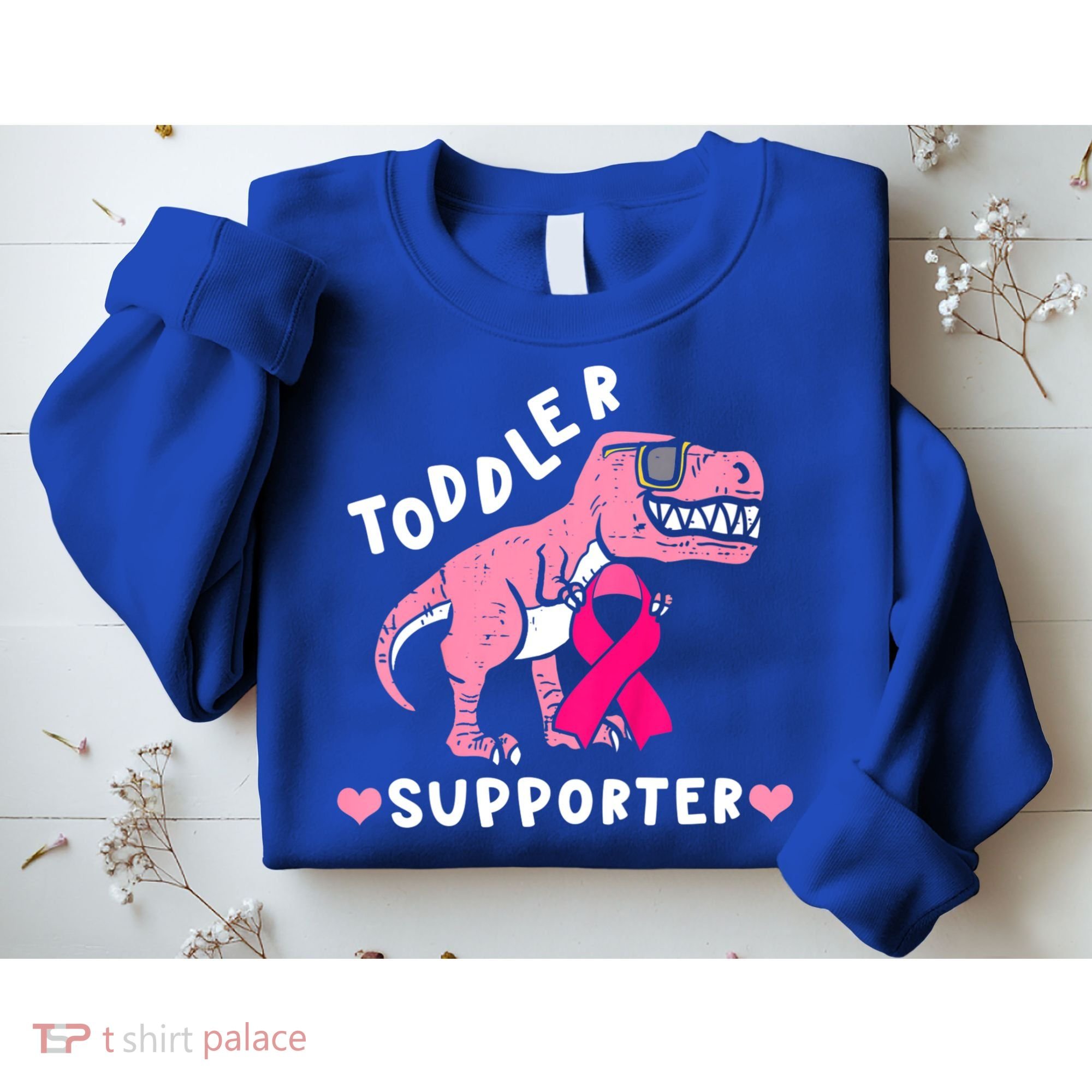 Toddler Supporter Breast Cancer Awareness Boys TRex Sweatshirt