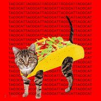 Tacocat Spelled Backwards Is Tacocat Funny Taco Cat Santa Hat thumb 1
