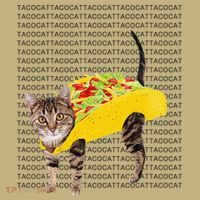 Tacocat Spelled Backwards Is Tacocat Funny Taco Cat Long Sleeve Shirt thumb 2