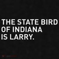The State Bird Of Indiana Is Larry Ladies PosiCharge Tri-Blend Wicking Tank thumb 2