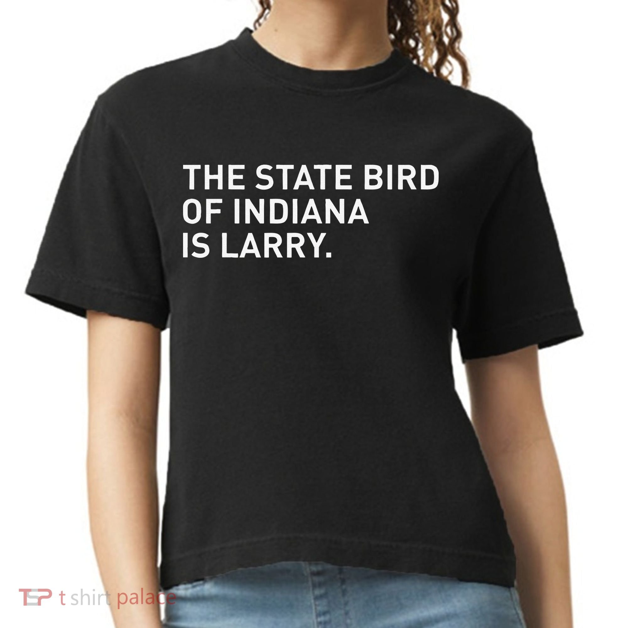The State Bird Of Indiana Is Larry Comfort Colors Boxy T-Shirt