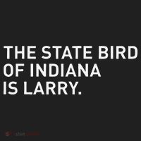 The State Bird Of Indiana Is Larry Kids Plaid Pajama Set thumb 2