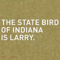 The State Bird Of Indiana Is Larry Garment-Dyed Women's Muscle Tee thumb 6