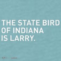 The State Bird Of Indiana Is Larry Sueded Cloud Jersey T-Shirt thumb 2