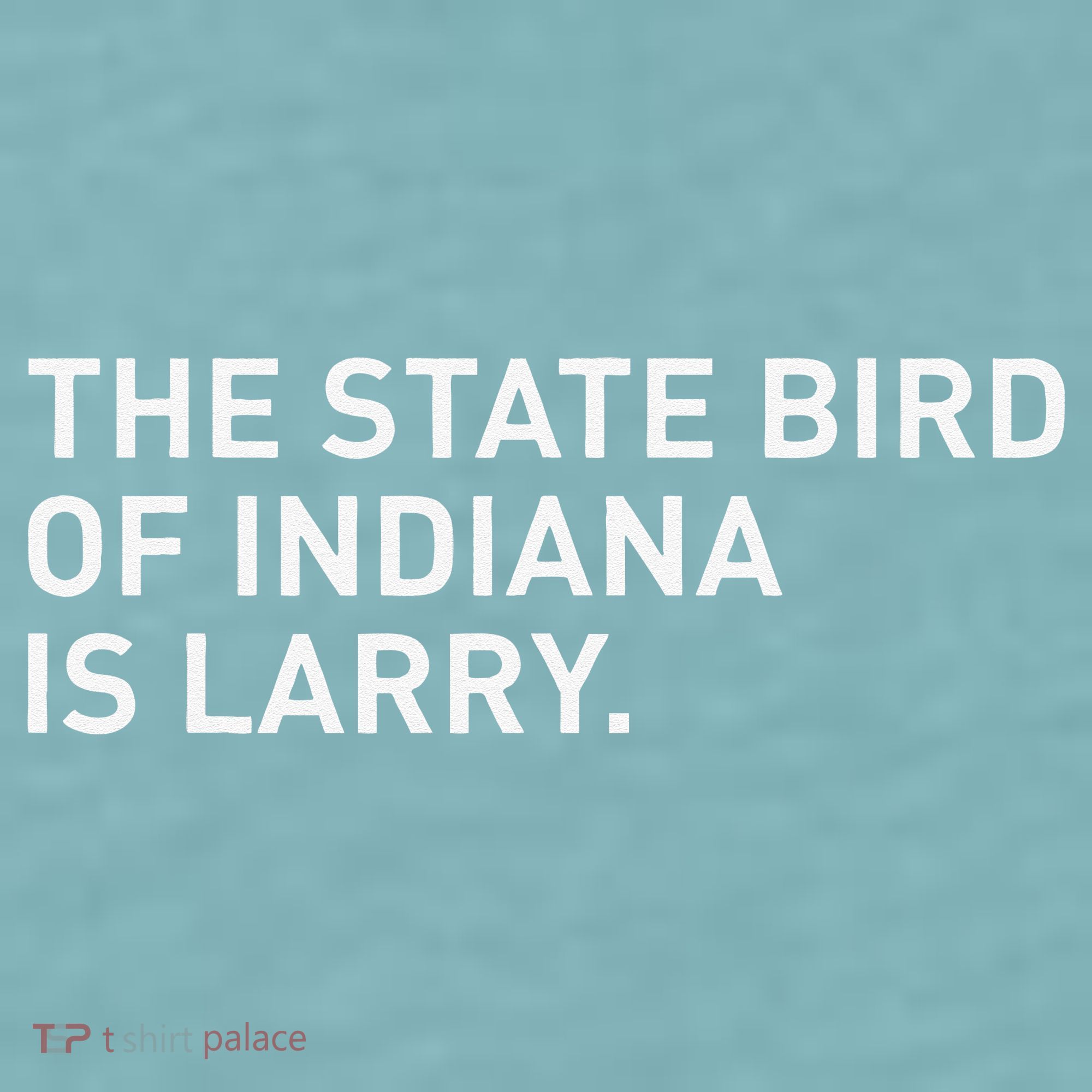 The State Bird Of Indiana Is Larry Sueded Cloud Jersey T-Shirt
