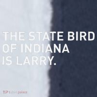 The State Bird Of Indiana Is Larry Sport-Tek Competitor United Soccer Jersey thumb 4