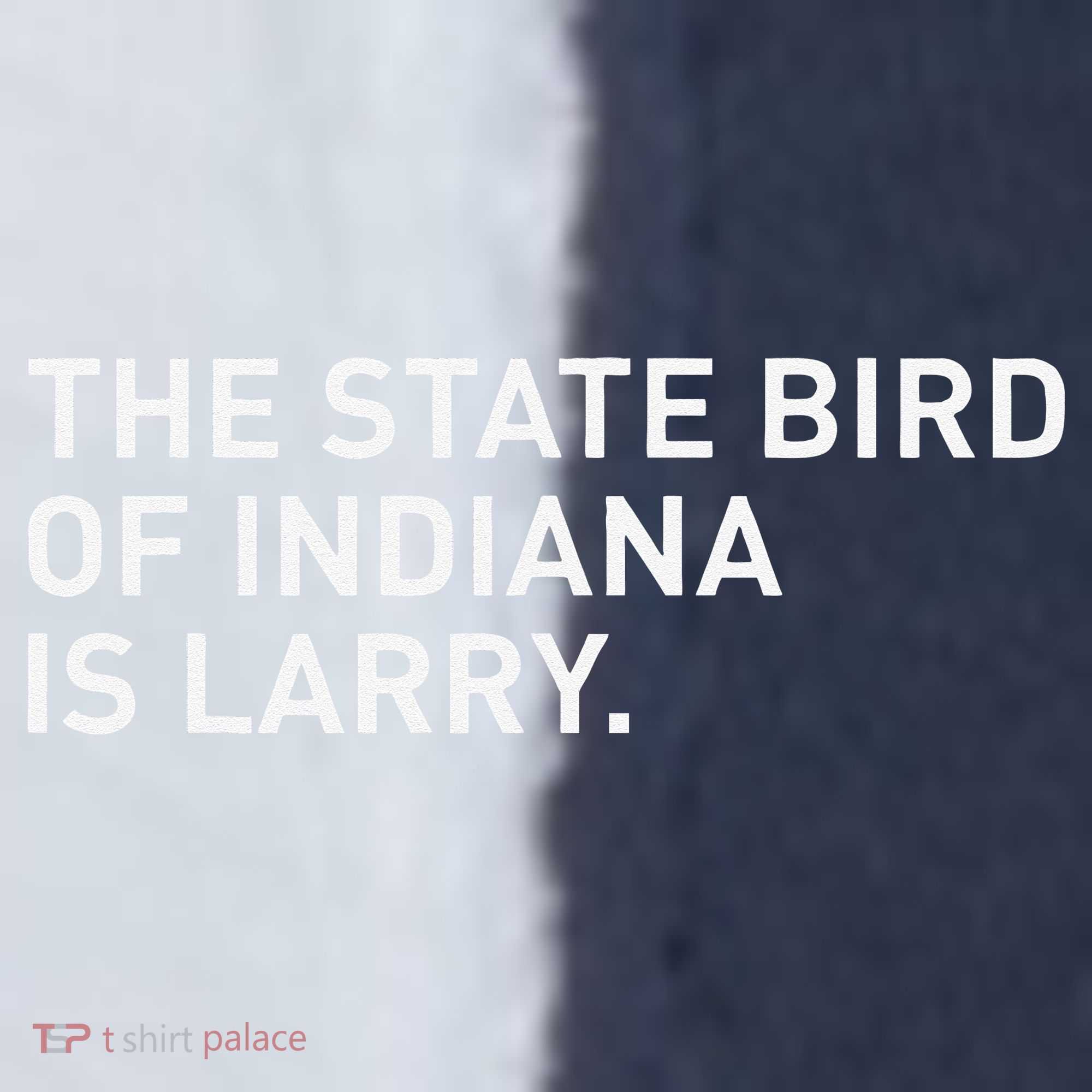 The State Bird Of Indiana Is Larry Sport-Tek Competitor United Soccer Jersey
