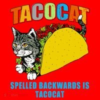 Tacocat Spelled Backwards Is Tacocat Santa Hat thumb 1