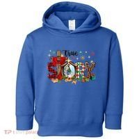 True Story Christmas Jesus Christian Gift Toddler Hoodie thumb 0