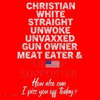 Trump Supporter Christian White Straight Unwoke Unvaxxed Santa Hat thumb 1