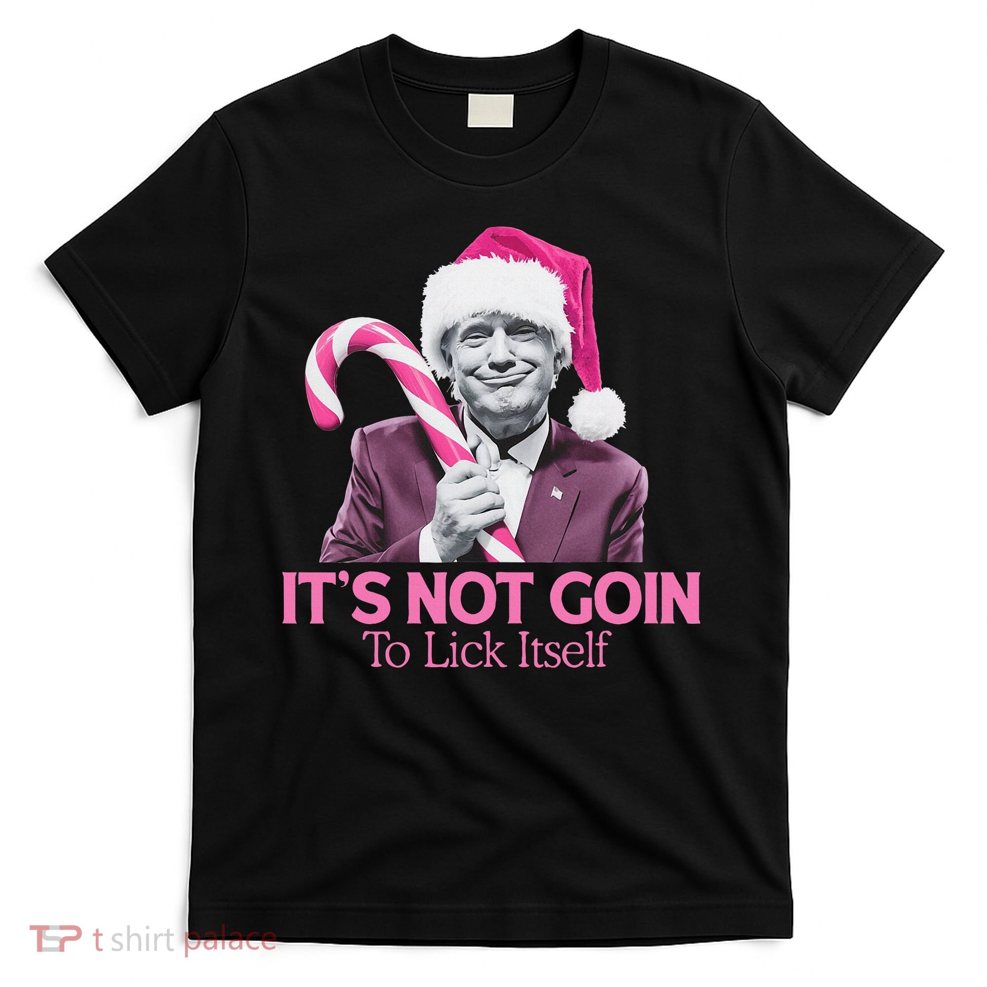 Trump Santa Christmas Maga Holiday T-Shirt