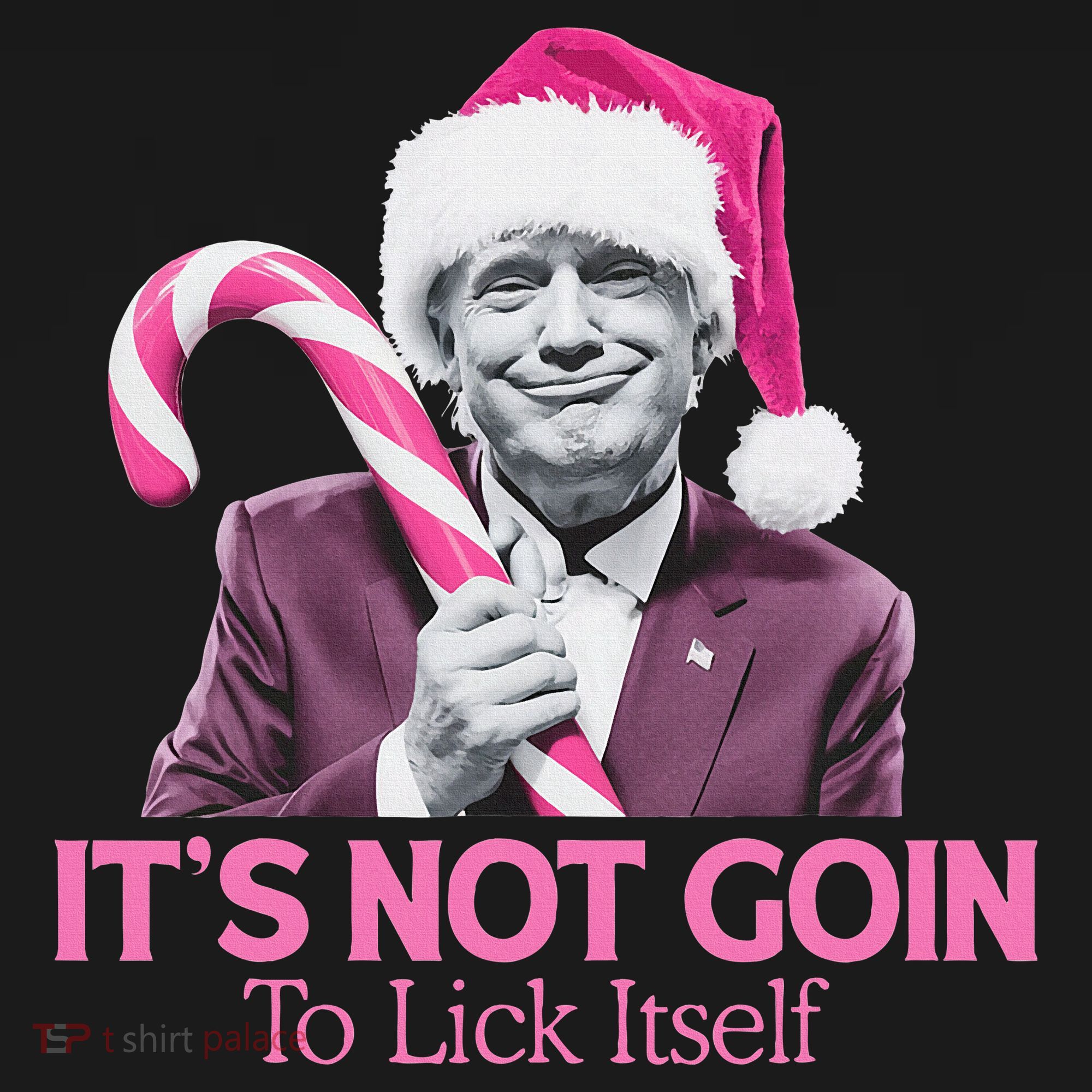 Trump Santa Christmas Maga Holiday T-Shirt