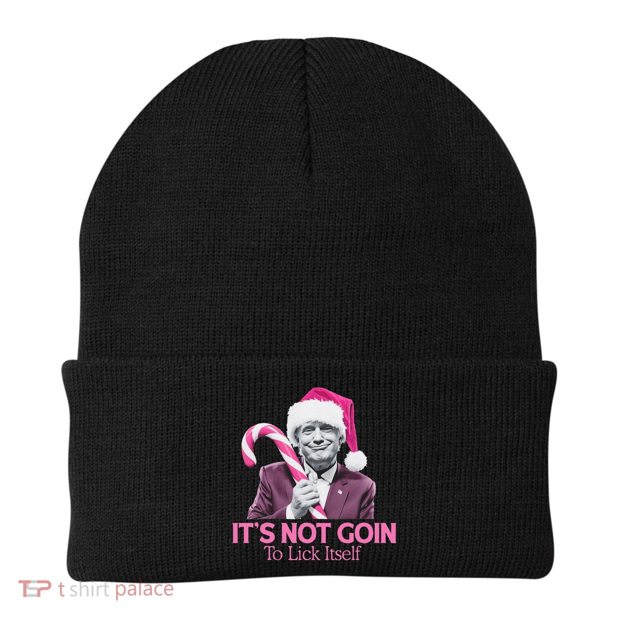 Trump Santa Christmas Maga Holiday Beanie