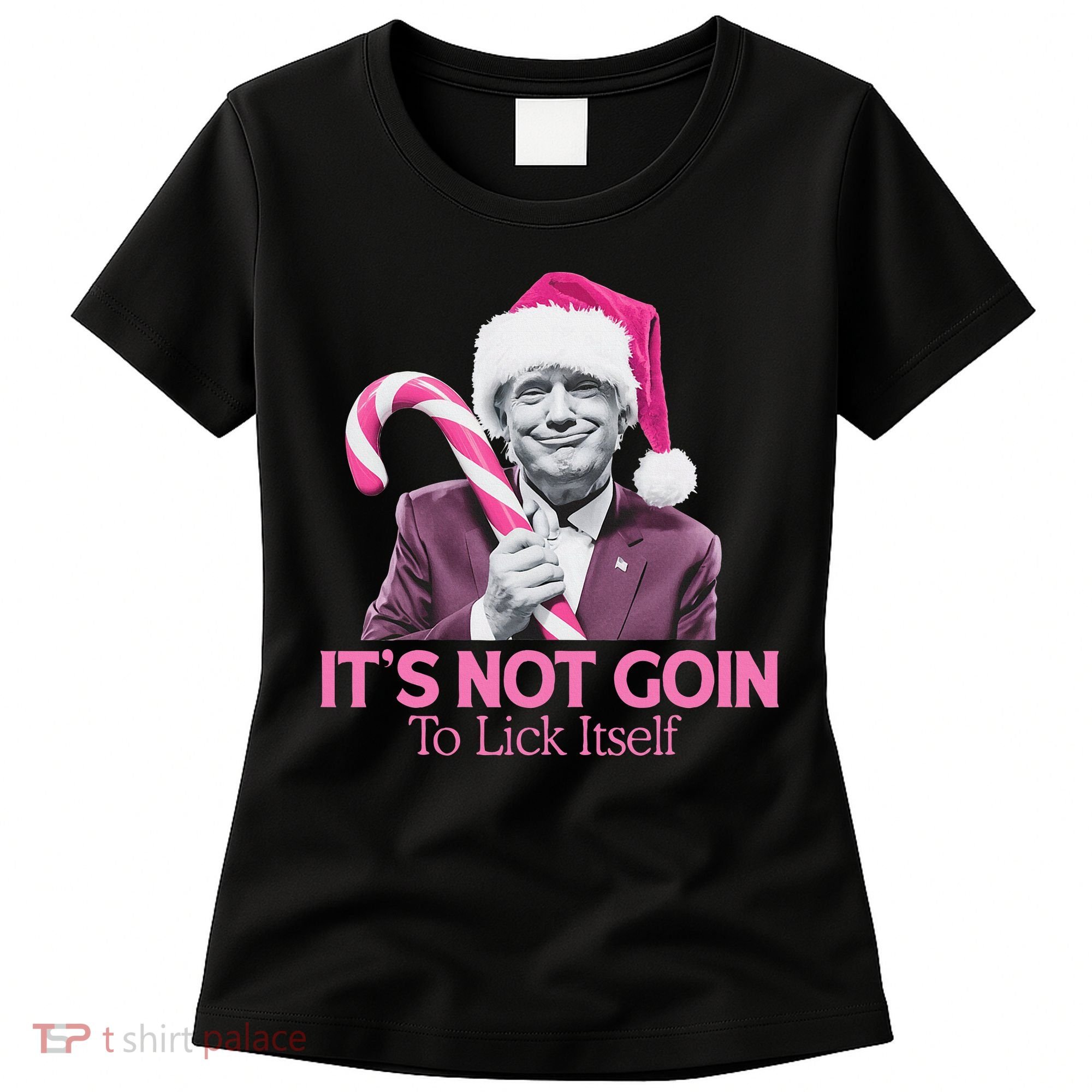Trump Santa Christmas Maga Holiday Women's T-Shirt