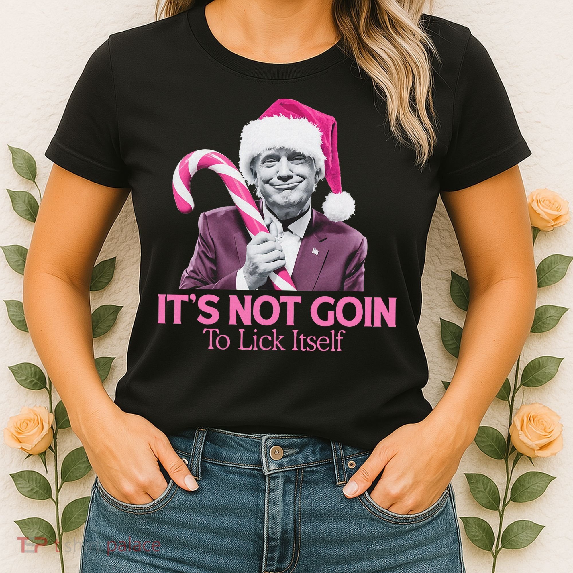 Trump Santa Christmas Maga Holiday Women's T-Shirt