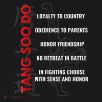Tang Soo Do Martial Arts Karate Training Hoodie thumb 7