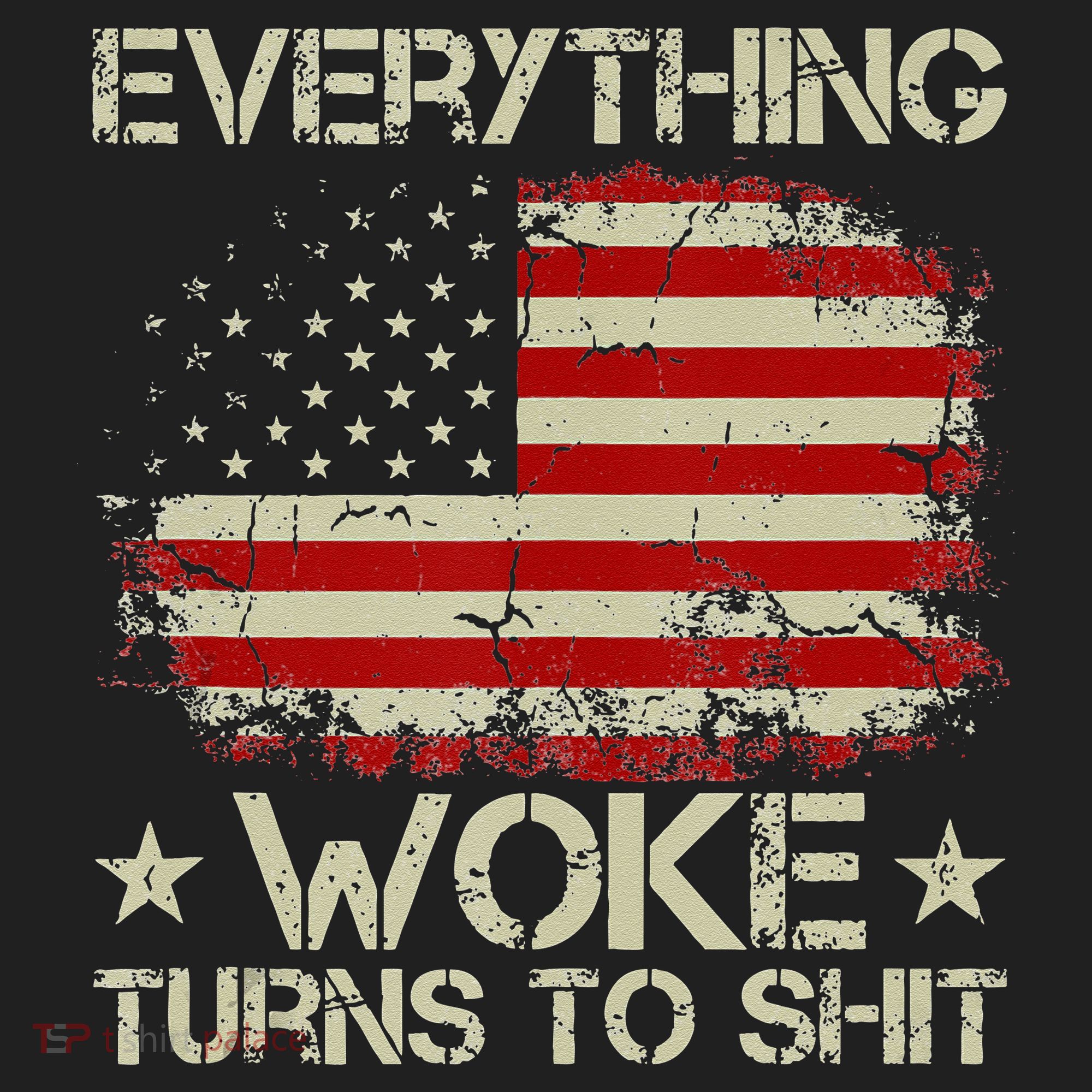 Trump Supporter Everything Woke Turns To Shit Political Hat