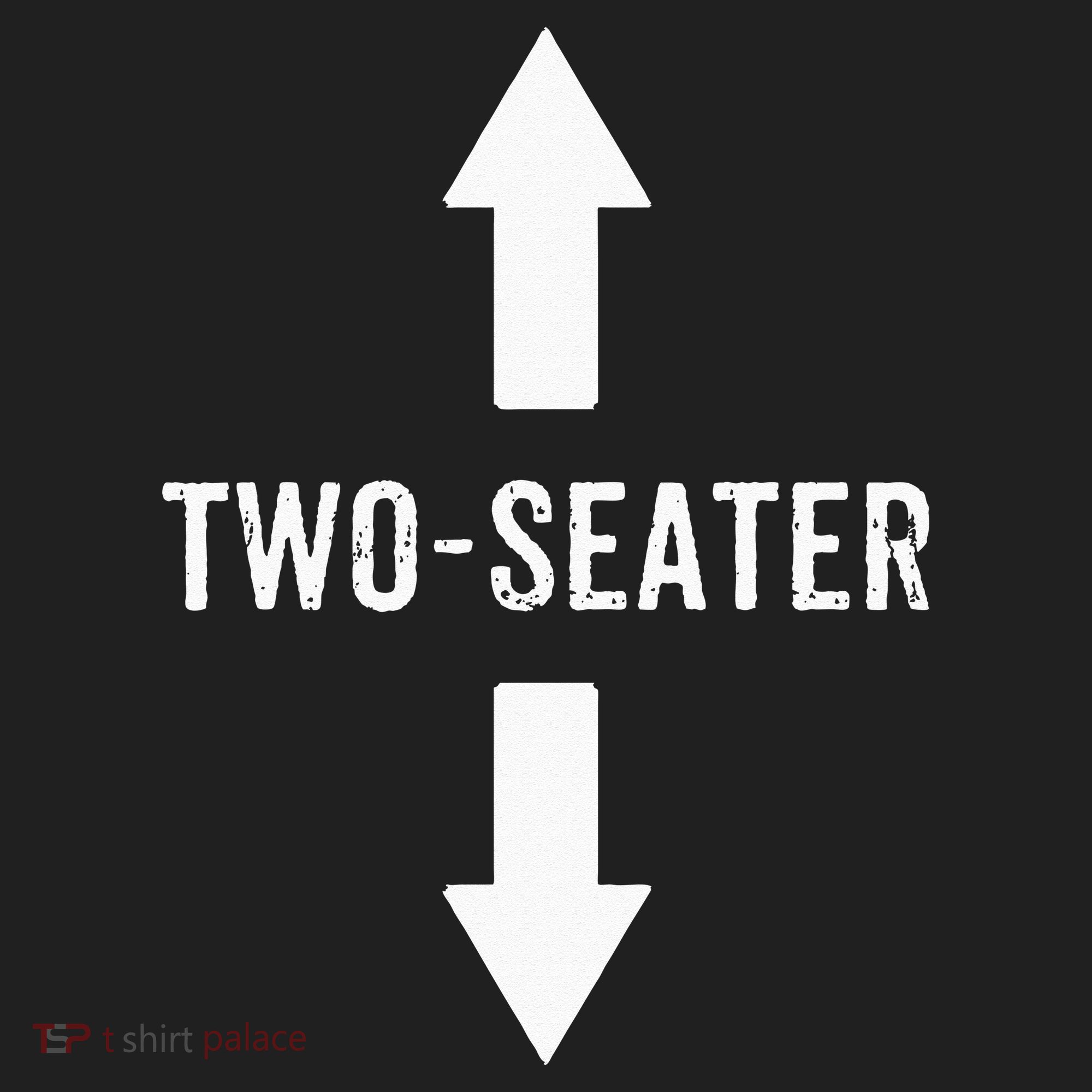 Two Seater For Men 2 Seater Dad Funny Gift Beanie