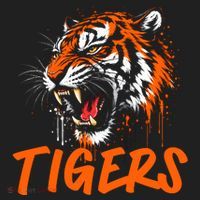 Tigers Sports Fan Hat thumb 2