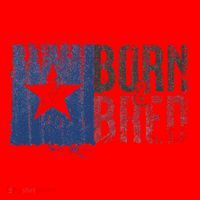 Texas State Flag Pride Born & Bred Native Home Santa Hat thumb 1