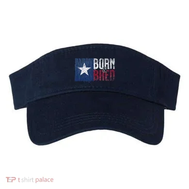 Visor