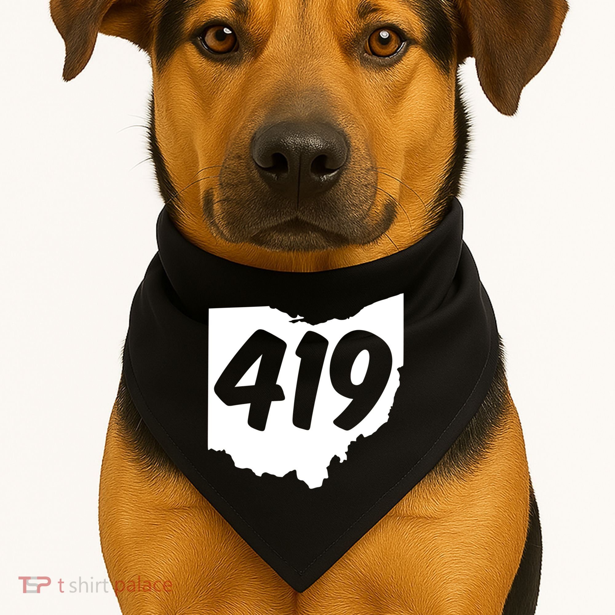 Toledo Sandusky Field 419 Area Code Ohio Cute Gift USA-Made Doggie Bandana