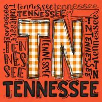 Tennessee State Flag Orange Plaid TN Coaster thumb 2