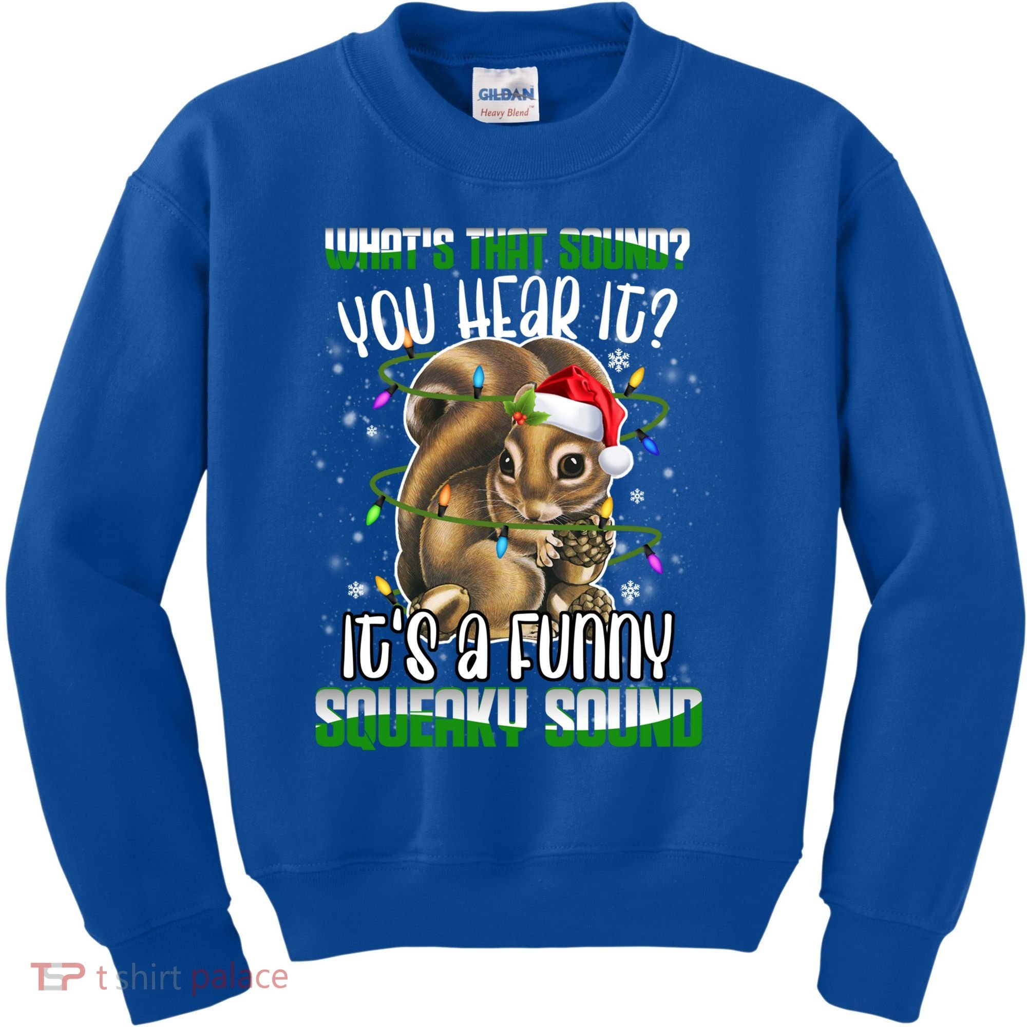 That Sound Funny Squeaky Sound Christmas Squirrel Gift Kids Sweatshirt