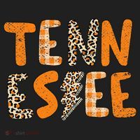 Tennessee State Flag Orange Plaid Leopard Print Souvenir Hat thumb 2