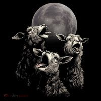 Three Sheeps Howling To The Moon Bucket Hat thumb 4