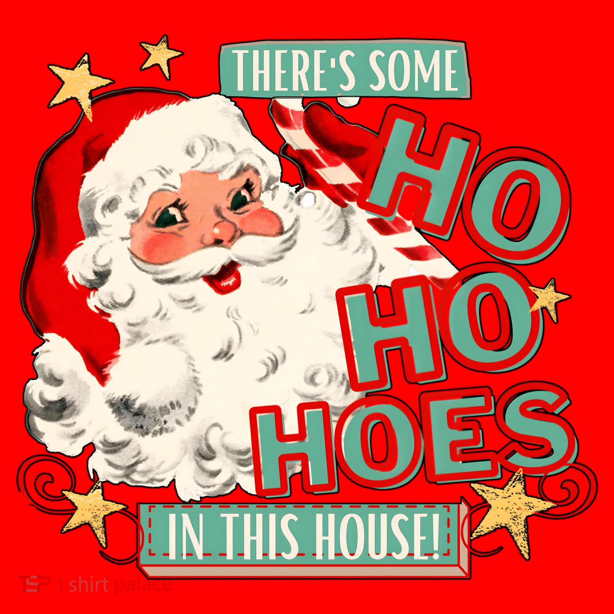 There's Some Ho Ho Hoes In This House Xmas Santa Hat