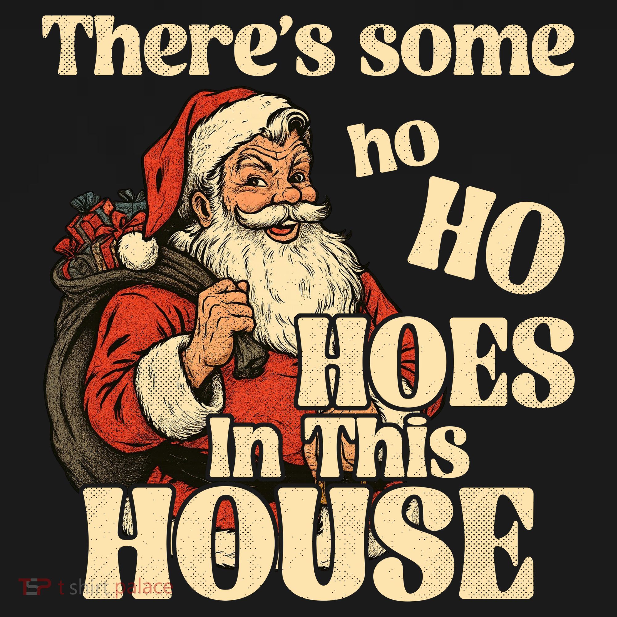 Theres Some Ho Ho Hoes In This House Women's Hoodie