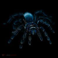 Tarantula Spider Illustration Gift Wild Animal Nature Fan Gift Coffee Mug thumb 5