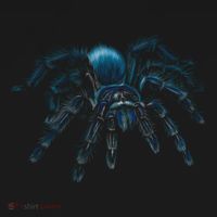 Tarantula Spider Illustration Gift Wild Animal Nature Fan Gift Women's Hoodie thumb 2