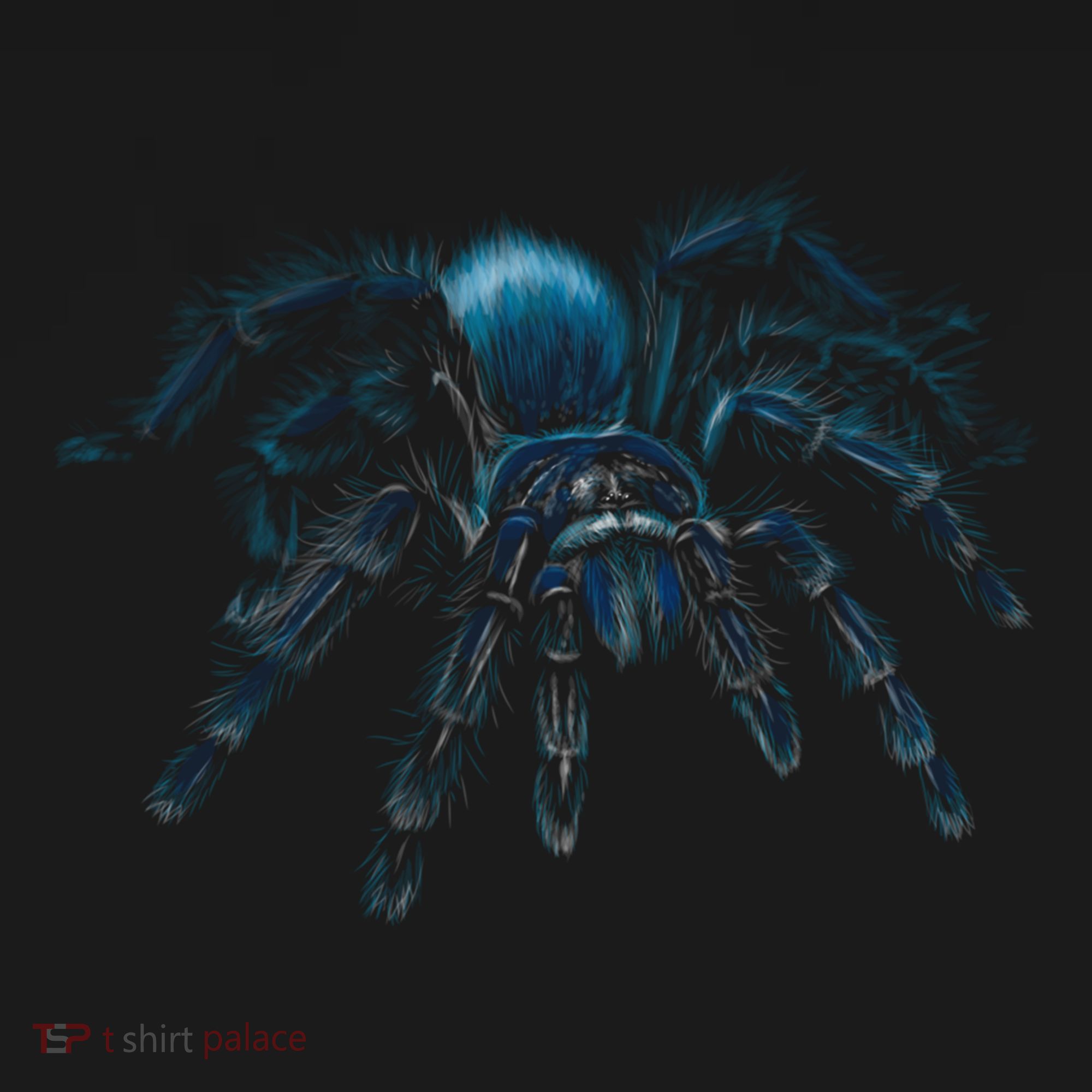 Tarantula Spider Illustration Gift Wild Animal Nature Fan Gift Women's Hoodie