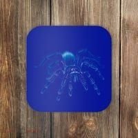 Tarantula Spider Illustration Gift Wild Animal Nature Fan Gift Coaster thumb 0