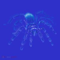 Tarantula Spider Illustration Gift Wild Animal Nature Fan Gift Mousepad thumb 1