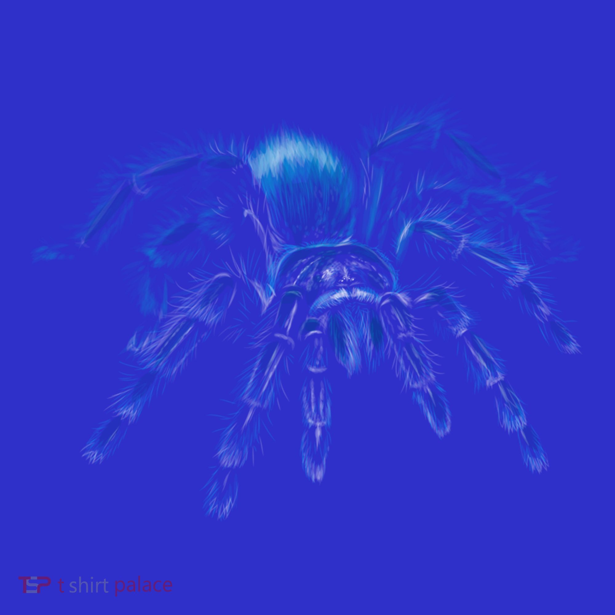 Tarantula Spider Illustration Gift Wild Animal Nature Fan Gift Mousepad