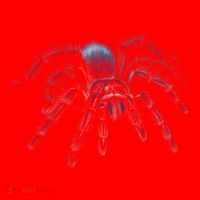 Tarantula Spider Illustration Gift Wild Animal Nature Fan Gift Santa Hat thumb 1