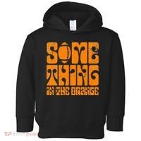 TN Something In The Orange Tennessee Orange Outfits Toddler Hoodie thumb 0
