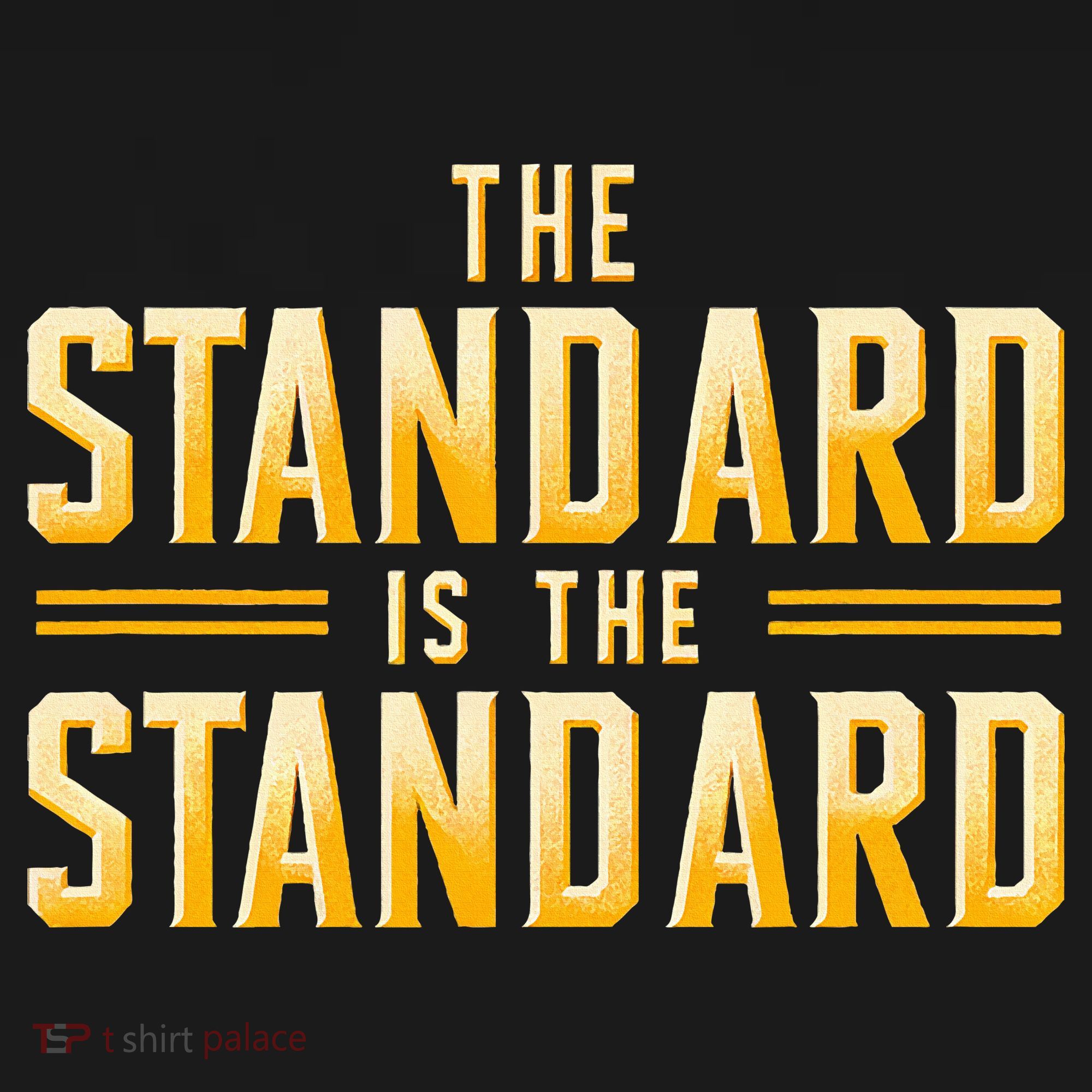 The Standard Is The Standard Pittsburgh Football Theme Women's Tank Top