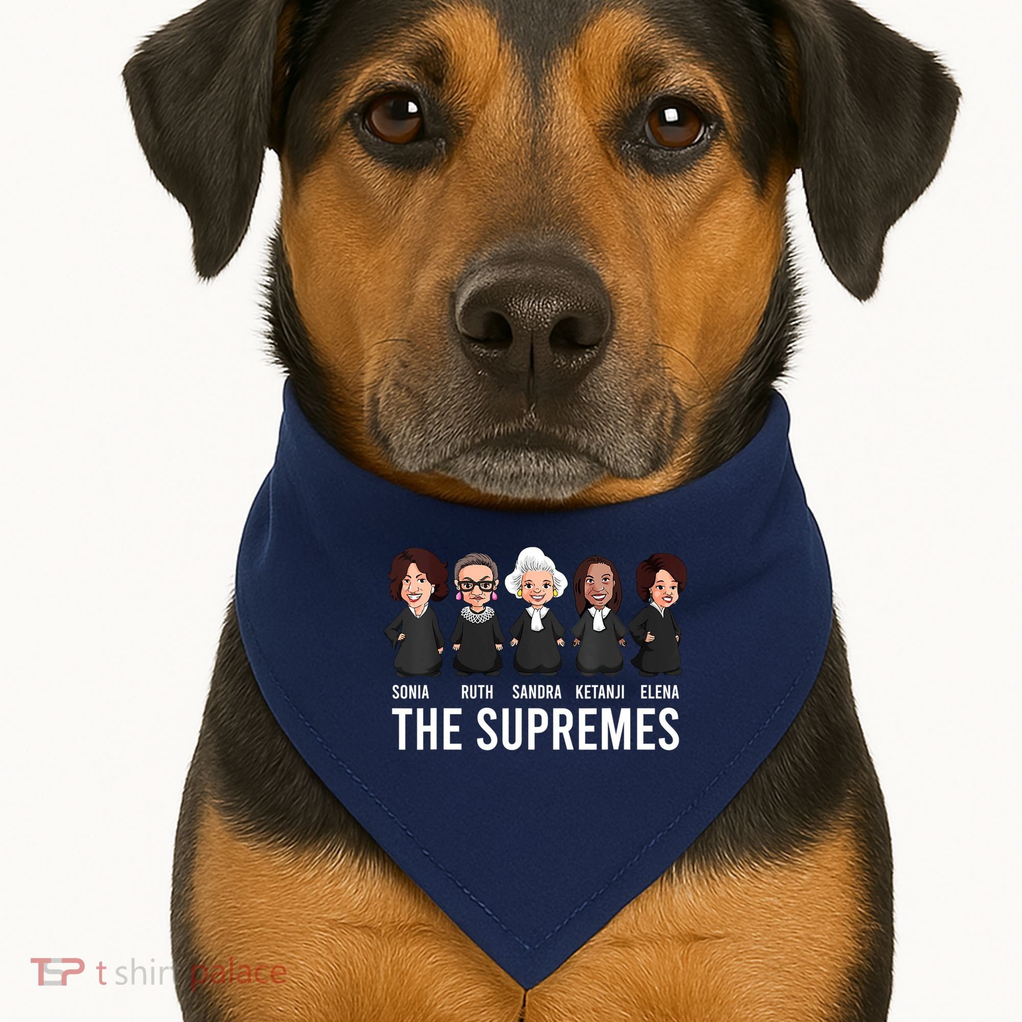 THE SUPREMES Ketanji Brown Jackson RBG Sotomayor Cute USA-Made Doggie Bandana