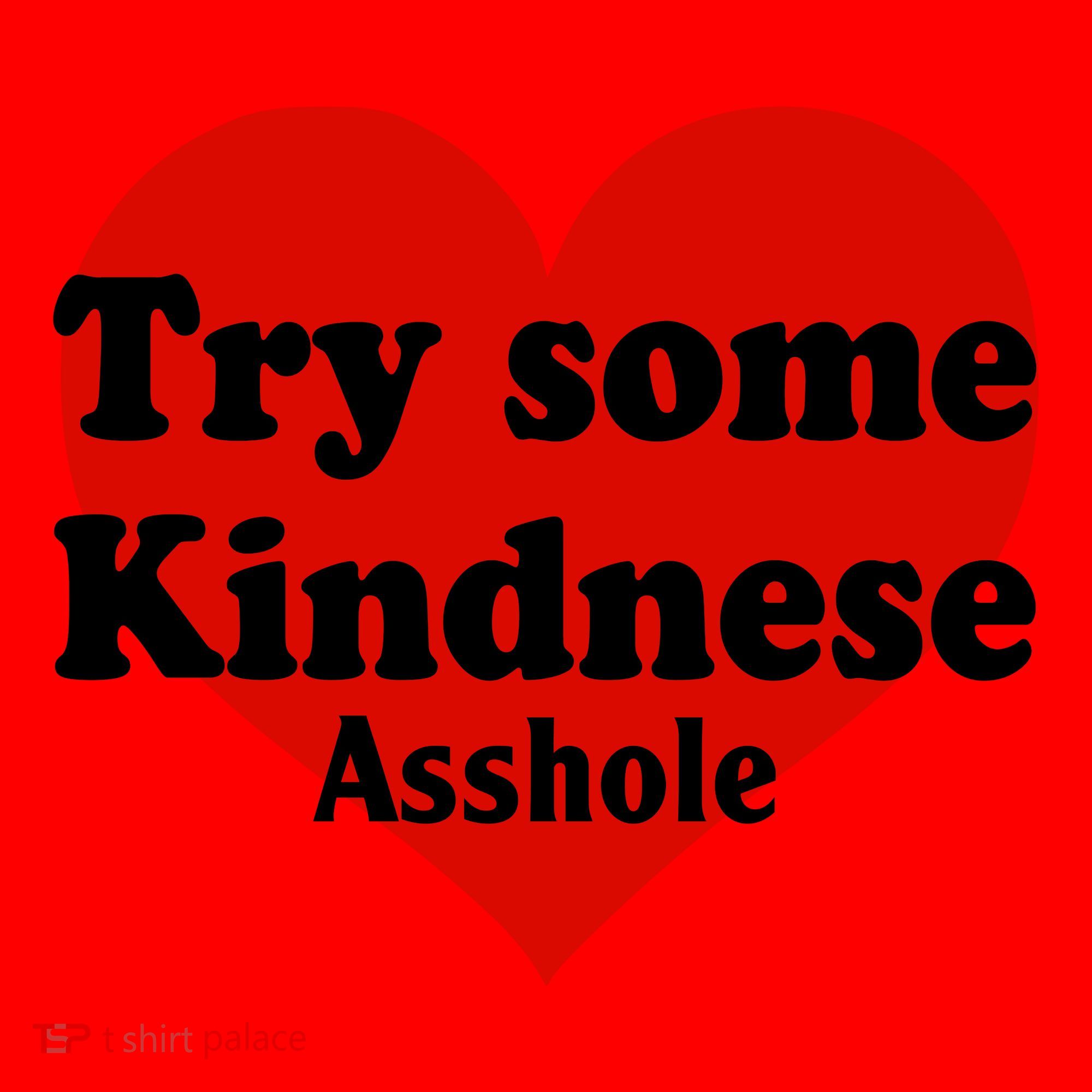 Try Some Kindness Asshole Heart Santa Hat