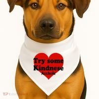 Try Some Kindness Asshole Heart USA-Made Doggie Bandana thumb 1