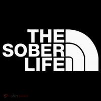 The Sober Life Na Aa Sober Recovery Women's Hoodie thumb 2